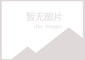 丽江古城夏青化学有限公司